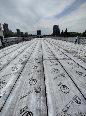 富島信息辦公樓屋面防水
