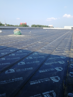 上善源7500平方科技厂房屋面防水